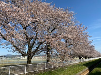 ファイル_000 - コピー